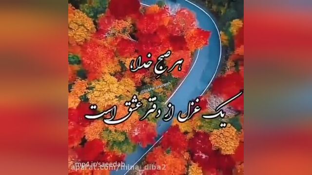 کلیپ صبح بخیر بسیار شاد و زیبا || انرژی مثبت