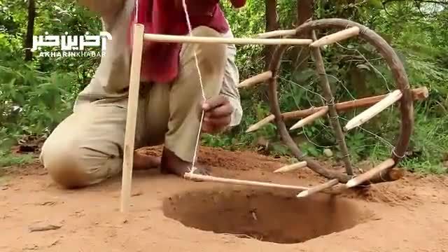 تله ساده ای که یک جوان سنگاپوری برای به دام انداختن ببر‌ها ساخت