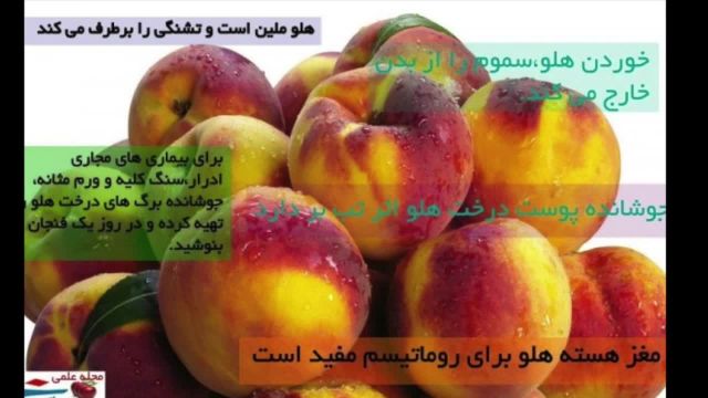 خواص مغز و میوه هلو از شنیدن آن تعجب میکنید