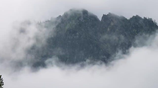 کوه های شگفت انگیز در مه | 8 ساعت صدای آرام بخش باد و صدای آواز پرندگان