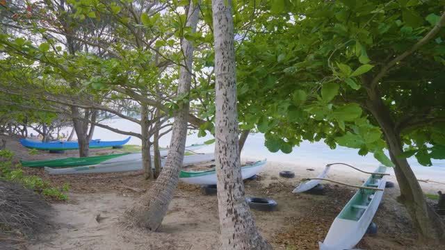 سواحل اوآهو، هاوایی | 4 ساعت ویدیوی آرامش بخش طبیعت با موسیقی | قسمت 2