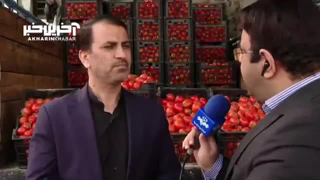 کاهش قیمت گوجه فرنگی در میادین میوه و تره بار