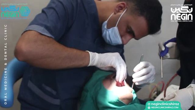 دکتر محمد طیبی - جراح دندانپزشک | کلینیک دندانپزشکی نگین شیراز