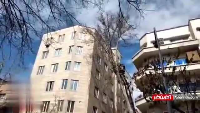 افتادن یک درخت قدیمی بر روی ساختمان بر اثر فرونشست زمین | ویدیو