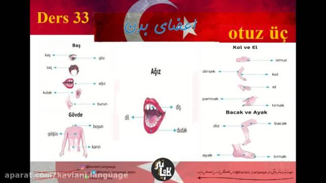 آموزش زبان ترکی استانبولی|اعضای بدن
