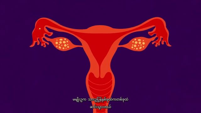 درباره بارداری در برمه