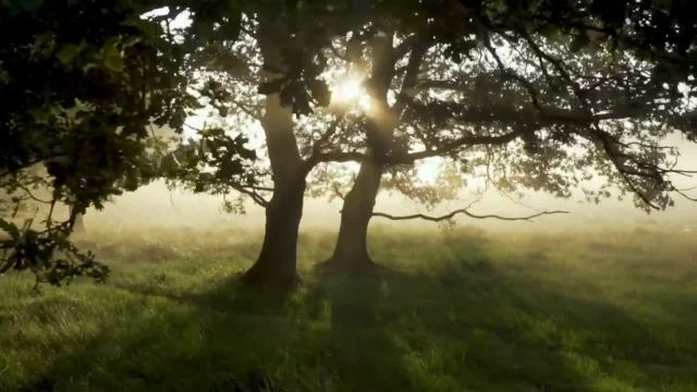 ویدیوی طبیعت 30 ثانیه ای برای وضعیت و استوری از طبیعت آرامش بخش