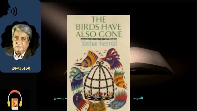کتاب صوتی پرندگان نیز رفتند | اثر یاشار کمال