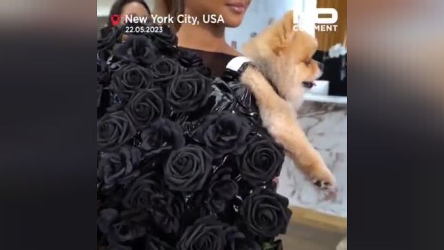 نمایش مد سگ‌ها و گربه‌های خانگی در نیویورک | ویدیو