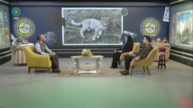 حقوق ناچیز برای نگهداری از پیروز یوزپلنگ ایرانی | ویدیو