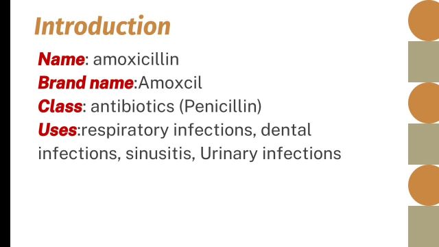 همه چیز در مورد اموکسی سیلین Amoxicillin | پر مصرف ترین آنتی بیوتیک