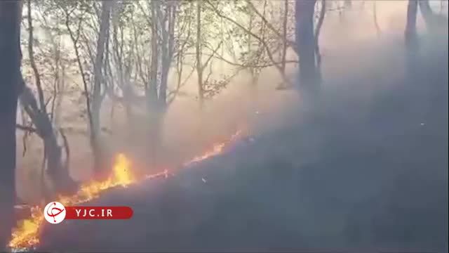 جنگلهای دو هزار تنکابن همچنان در آتش میسوزد