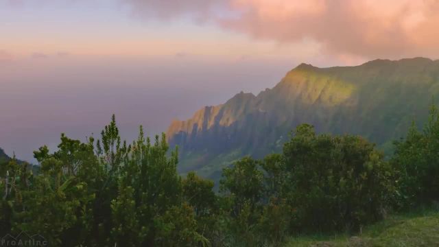 8 ساعت آواز پرندگان شاد در کوه ها | مناظری زیبا از پوئو او کیلا، هاوایی