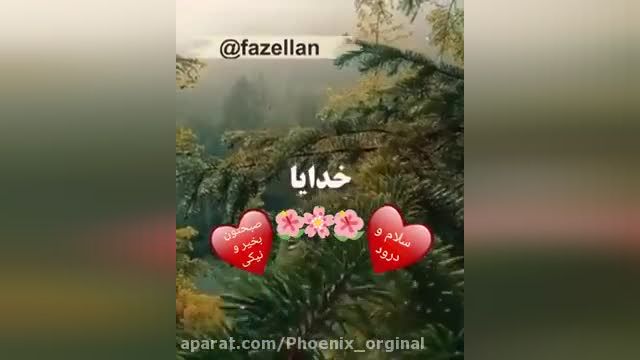 کلیپ زیبای صبح بخیر فوق العاده || برای استوری و وضعیت واتساپ