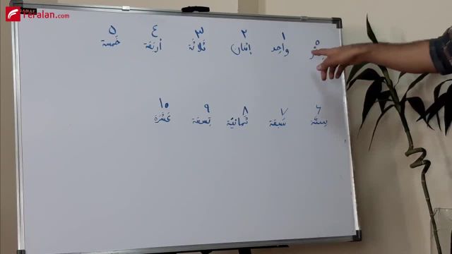 آموزش کامل زبان عربی از صفر تا صد | جلسه دوم | اعداد به زبان عربی