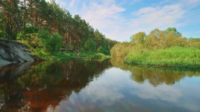 8 ساعت آواز پرندگان آرامش بخش در کنار رودخانه ای آرام، اوکراین
