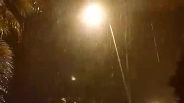 بارش شدید باران در بوشهر | ویدیو
