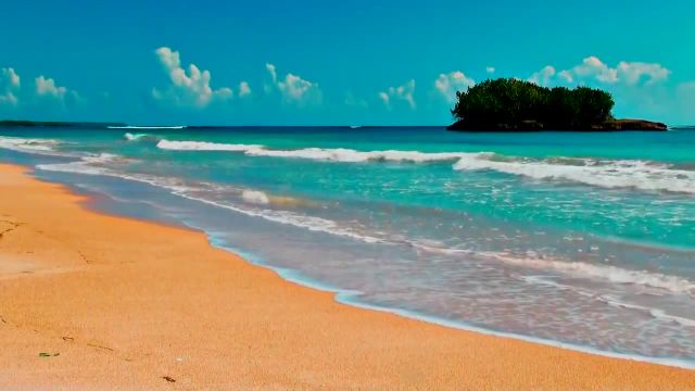 ساحل استوایی | مناظر شگفت انگیز طبیعت و بهترین موسیقی آرامش بخش