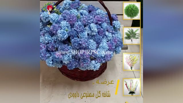 لیست  گل مصنوعی داوودی آبی | فروشگاه ملی