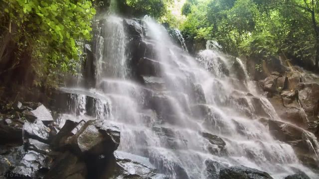 آبشار جنگلی و آوازهای پرندگان استوایی | زیباترین آبشارهای جهان | قسمت 1
