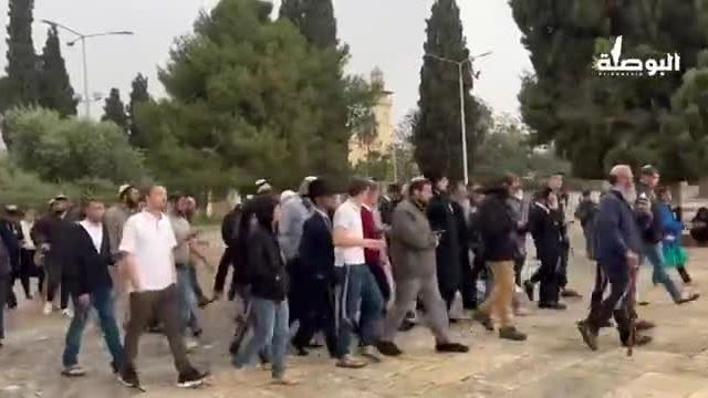 700 شهرک‌ نشینان صهیونیست‌ امروز به مسجد الاقصی یورش بردند | فیلم