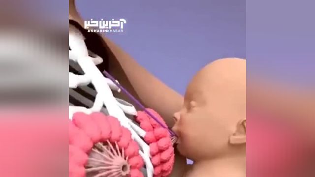 این انیمیشن روند فعال شدن شیر مادر پس از تولد نوزاد را نشان می‌ دهد