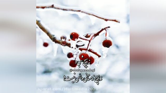 کلیپ استوری حلول ماه رجب | آهنگ  زیبا و دلنشین