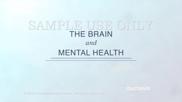 سلامت روان: مغز چگونه کار می کند