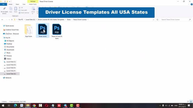All States USA Driver License Templates  (PSD)