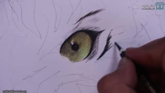 آموزش نقاشی حیوان با تکنیک مداد رنگی - قسمت 2