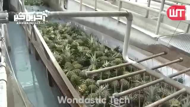 خط تولید آب آناناس در کارخانه | ویدیو