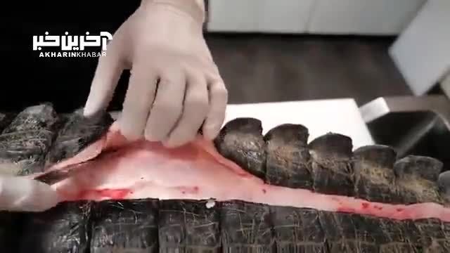 برش زدن تمساح پرورشی 120 کیلوگرمی توسط استاد ژاپنی