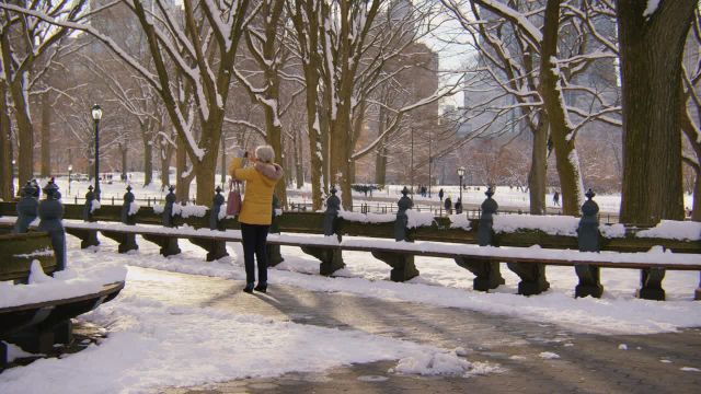 زمستان در نیویورک | پارک مرکزی پوشیده از برف | ویدیوی زندگی شهری با صداهای واقعی