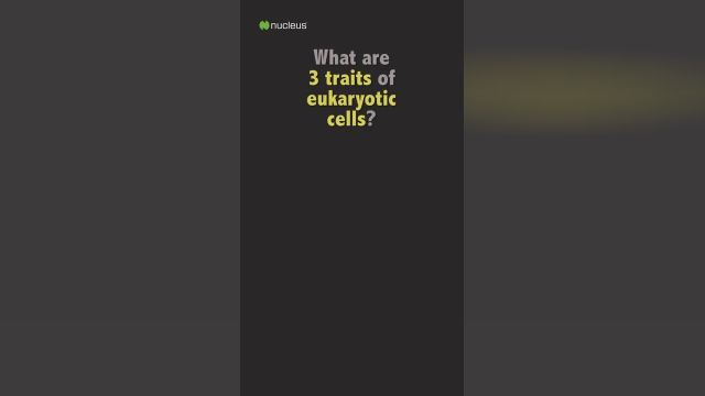 آیا می توانید به همه 28 سوال در زمینه زیست شناسی سلولی اولیه پاسخ دهید؟