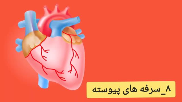 10 هشدار برای بیماری قلبی که باید مراقب آنها باشید!