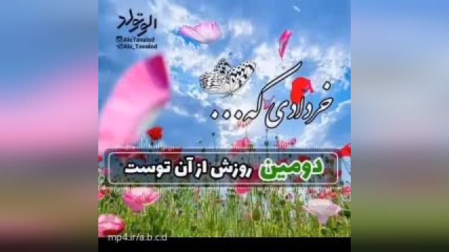 ویدئو استوری بسیار زیبای تولد خرداد | دوم خرداد
