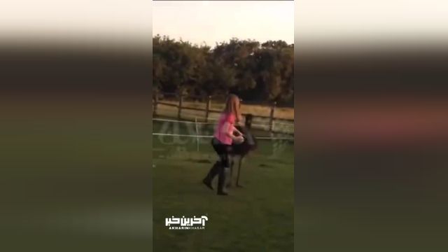 ذوق زدگی یک شتر مرغ در حین توپ‌ بازی با یک دختر