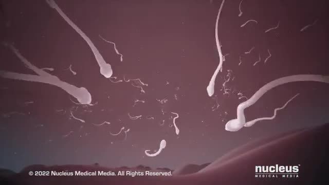 شات ضد بارداری: پروژستین | ویدیو