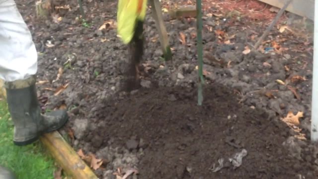 راهنمای آماده سازی خاک برای کاشت سیفی جات (گوجه فرنگی، خیار و فلفل)