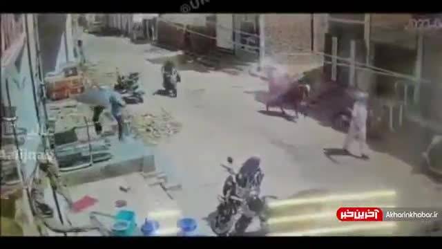 کشته شدن وحشتناک یک دختربچه 5 ساله توسط یک گاو در هند ( حاوی تصاویر دلخراش )