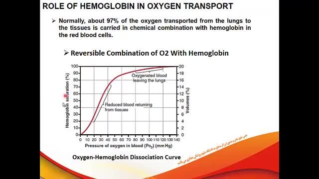 انتقال اکسیژن و کربن دی اکسید در خون | فیزیولوژی دستگاه تنفس | جلسه نهم