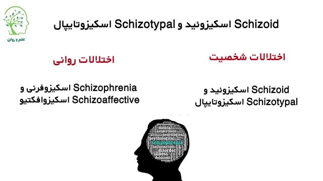 تفاوت اسکیزوفرنی، اسکیزوافکتیو، اسکیزوتایپال و اسکیزوئید