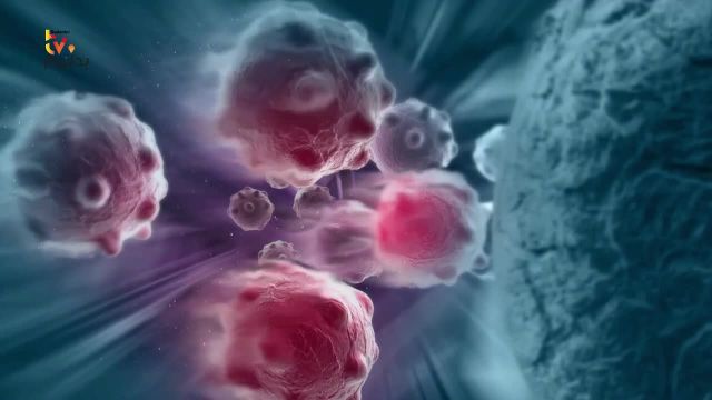 مرگ سلول های سرطانی | 10 غذای فوق العاده که به راحتی سلول های سرطانی را می کشد!