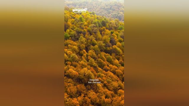 نمایی از پاییز در ارتفاعات گالیش استان گلستان