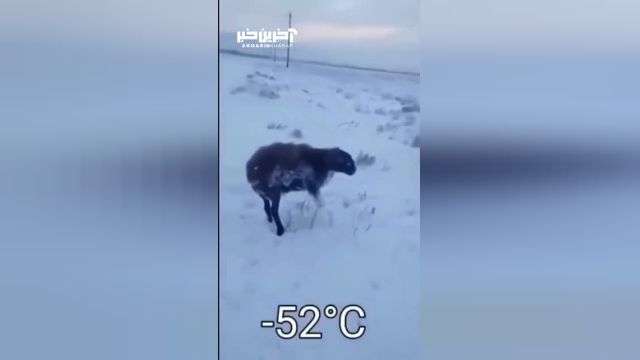 سرمای قزاقستان با دمای 50- درجه: بهترین راه برای مقابله با آب و هوای سرد