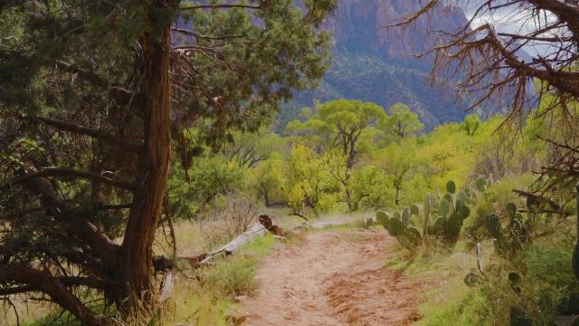 گشت مجازی در امتداد مسیر اسب سواری | طبیعت دیدنی پارک ملی Zion