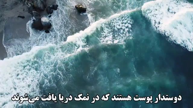 خواص نمک دریا | 6 معجزه طبیعی با نمک دریا در خانه