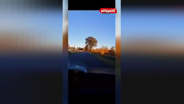تصادف خوردو با درخت به دلیل لایو گرفتن در رانندگی | ویدیو