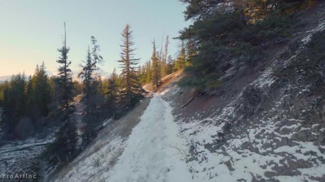 پارک ملی جاسپر، کانادا | تور پیاده‌ روی زمستانی در جنگل با صداهای طبیعت | قسمت 2