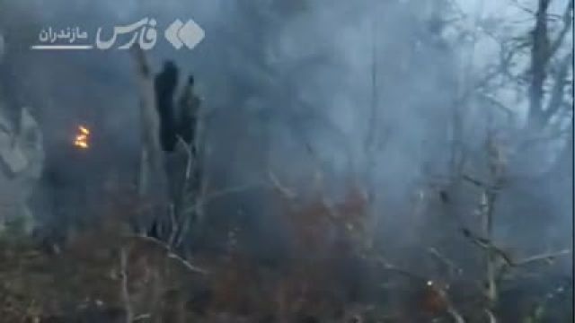توضیحات فرمانده یگان منابع‌ طبیعی مازندران در خصوص آتش‌ سوزی جنگل‌ های نوشهر